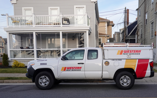 franchise truck