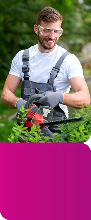 brand assets, on-brand franchise marketing collateral, franchise advertising